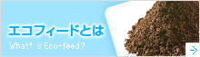 エコフィードとは
